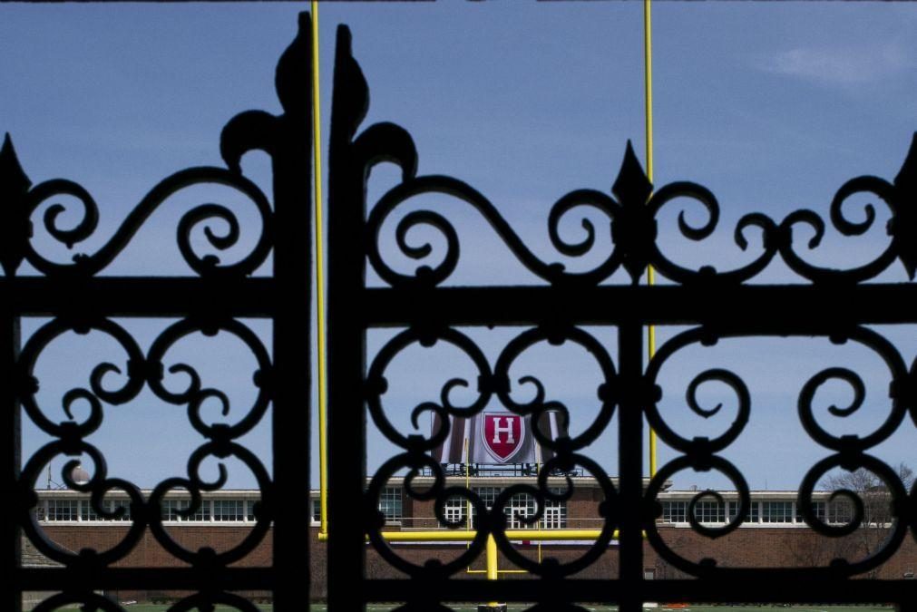 Harvard processa Governo dos EUA por proibir inscrição de alunos estrangeiros