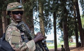 RDCongo: Agência da ONU diz que conflito desencadeou crise alimentar regional