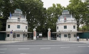 Jardim Zoológico celebra 141 anos com visitas gratuitas e atividades para toda a família