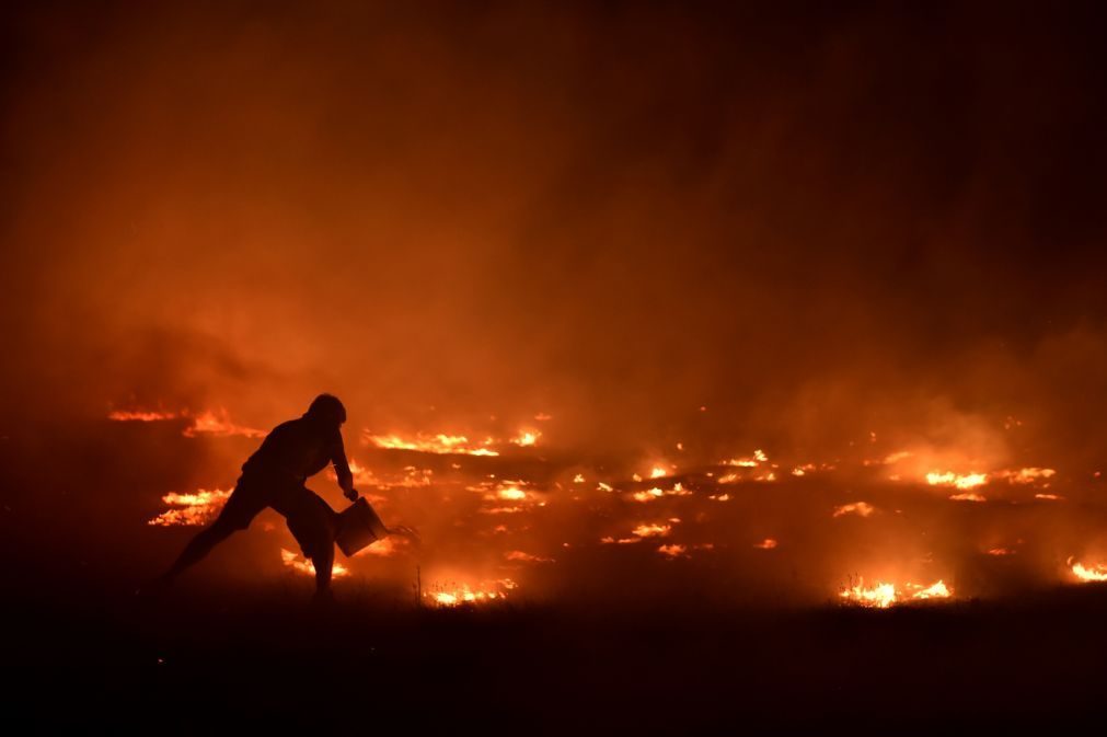 EDP rejeita qualquer hipótese de negligência nos incêndios de outubro