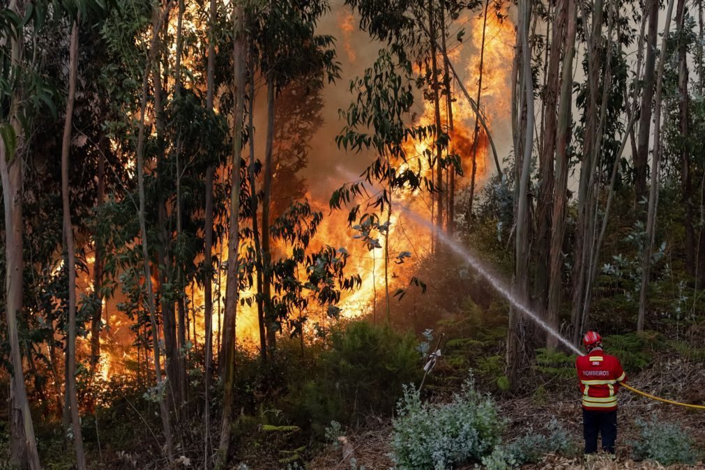 Pena suspensa para ex-bombeiro acusado de atear três fogos em Oliveira de Azeméis