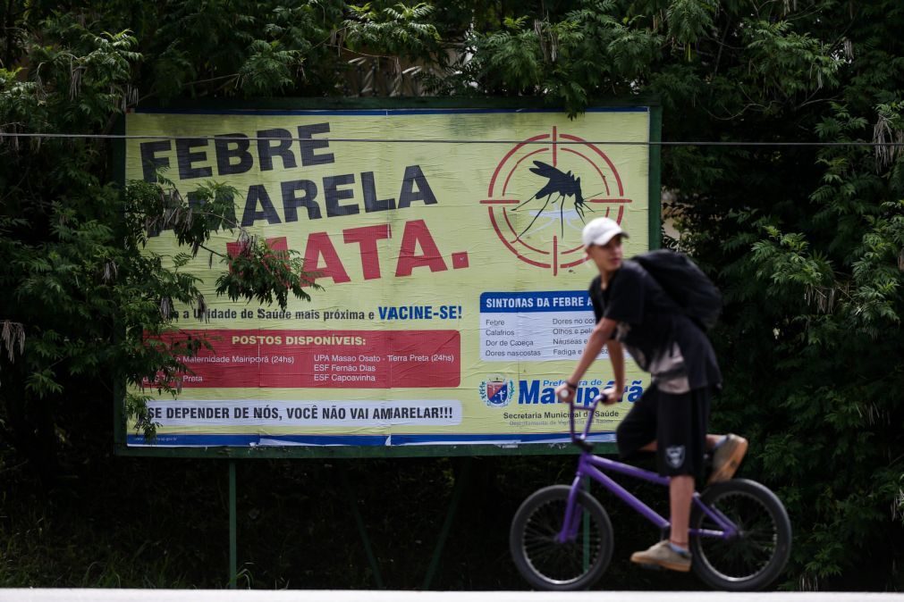 Brasil: Menos de 20% da população alvo tomou vacina contra febre-amarela