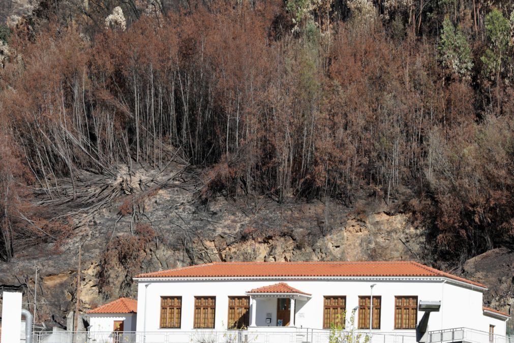 Atenção: Fisco avisa contribuintes que têm até 15 de março para limpar terrenos