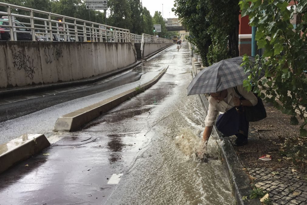 Proteção Civil alerta para cheias e queda de árvores devido à chuva, neve e vento