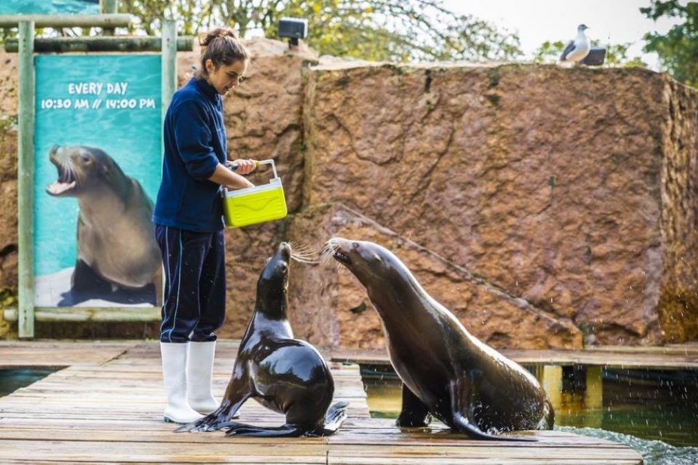 Jardim Zoológico com visitas guiadas este sábado… grátis!