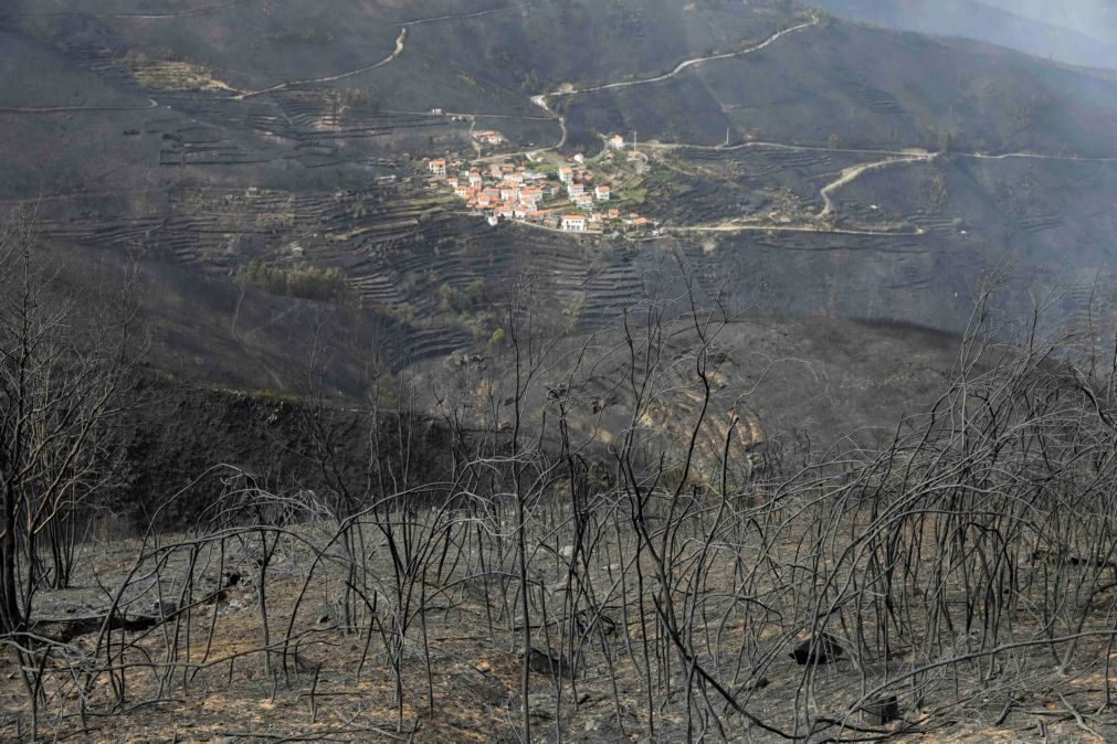 Apoio das Forças Armadas «ficou aquém do desejável» nos incêndios em outubro