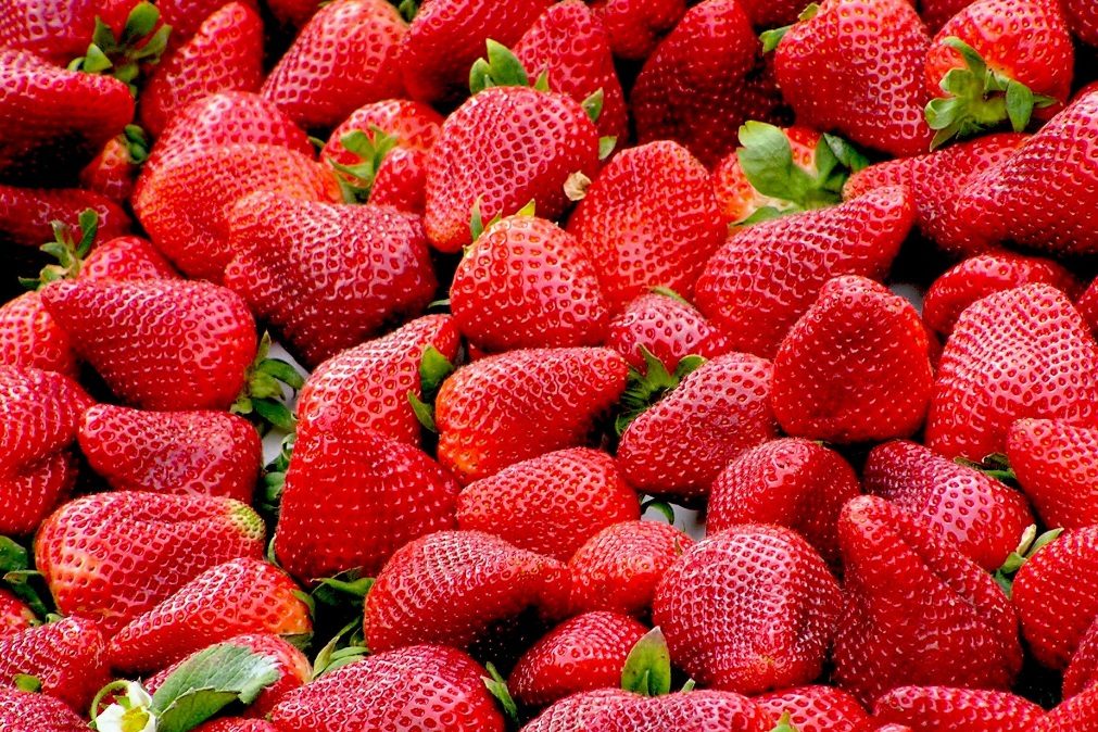 Morangos considerados o alimento mais sujo de 2018 nos EUA