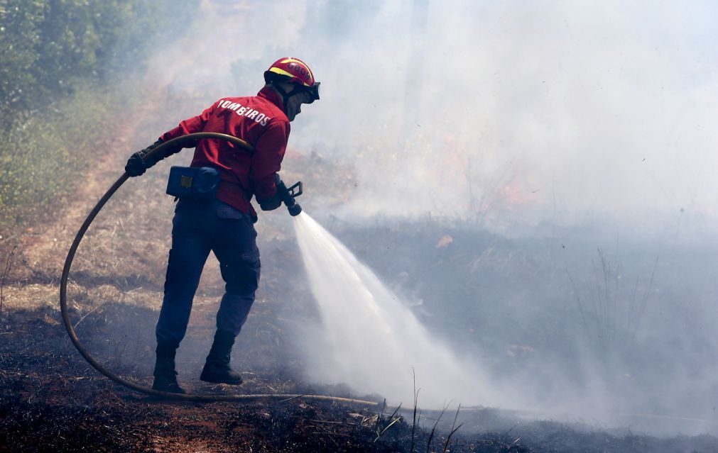 ÚLTIMA HORA: Incêndio em Cinfães convoca dois meios aéreos