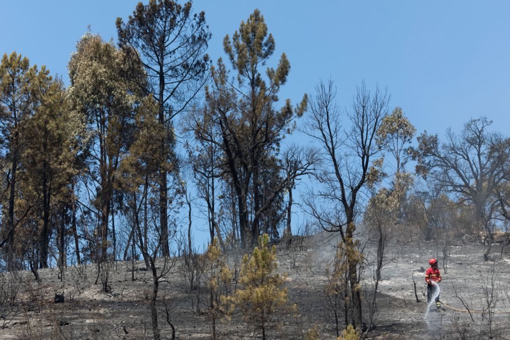 Alerta para aumento do perigo de incêndio até quinta-feira