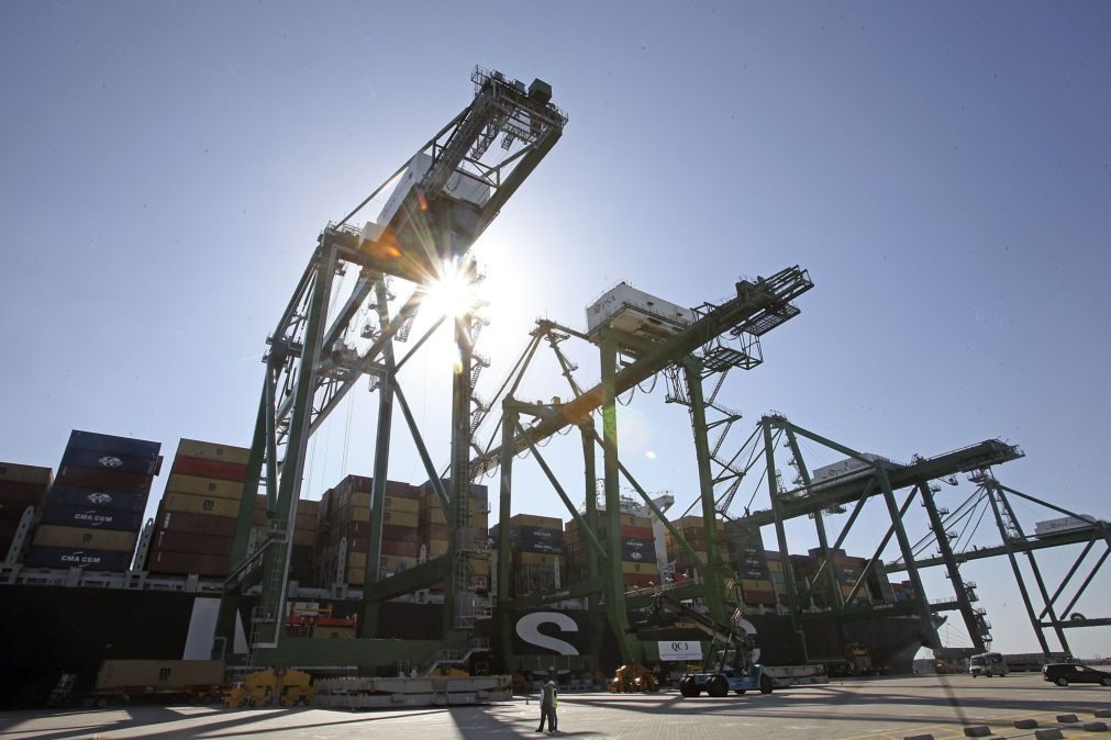 Estivadores do Porto de Lisboa iniciam 15 dias de greve