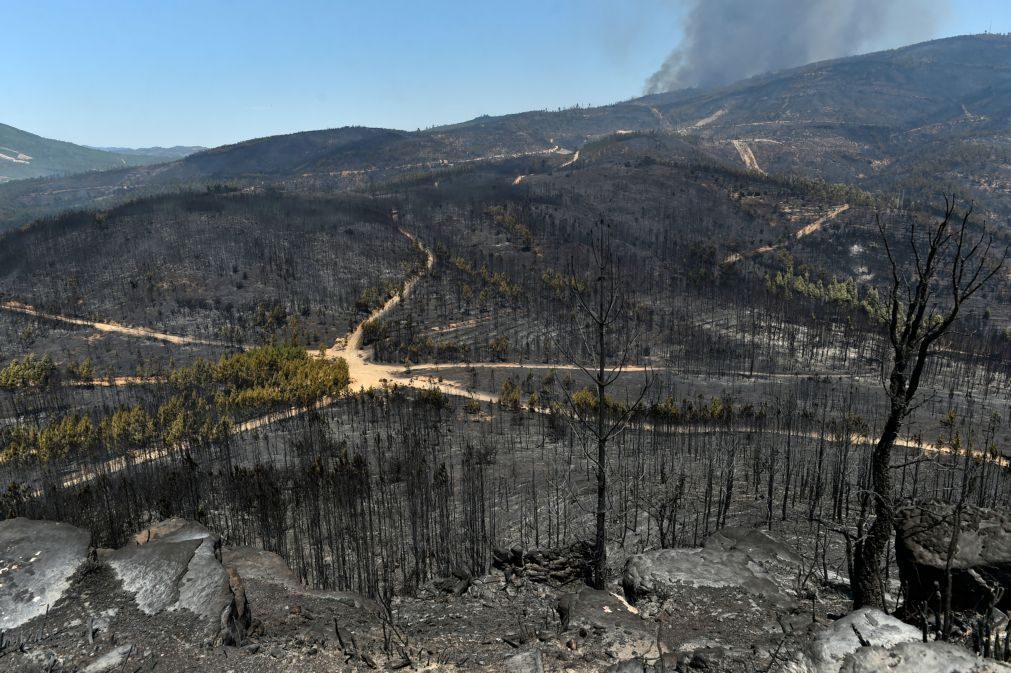 Há 970 ligações por restabelecer nas zonas afetadas pelos incêndios