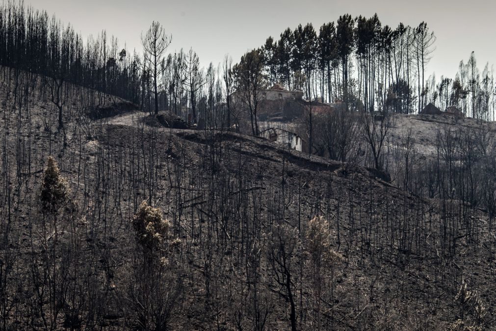 Número de arguidos dos incêndios de Pedrogão Grande aumenta para 18