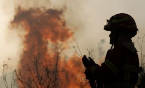Risco extremo de incêndio: Saiba como ajudar a prevenir