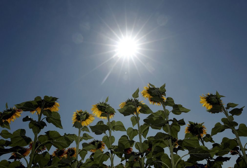 Nove mortes devido a vaga de calor em Espanha