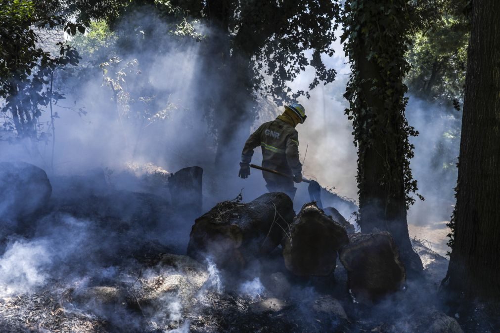 Silves com reacendimentos, fogo está com força 