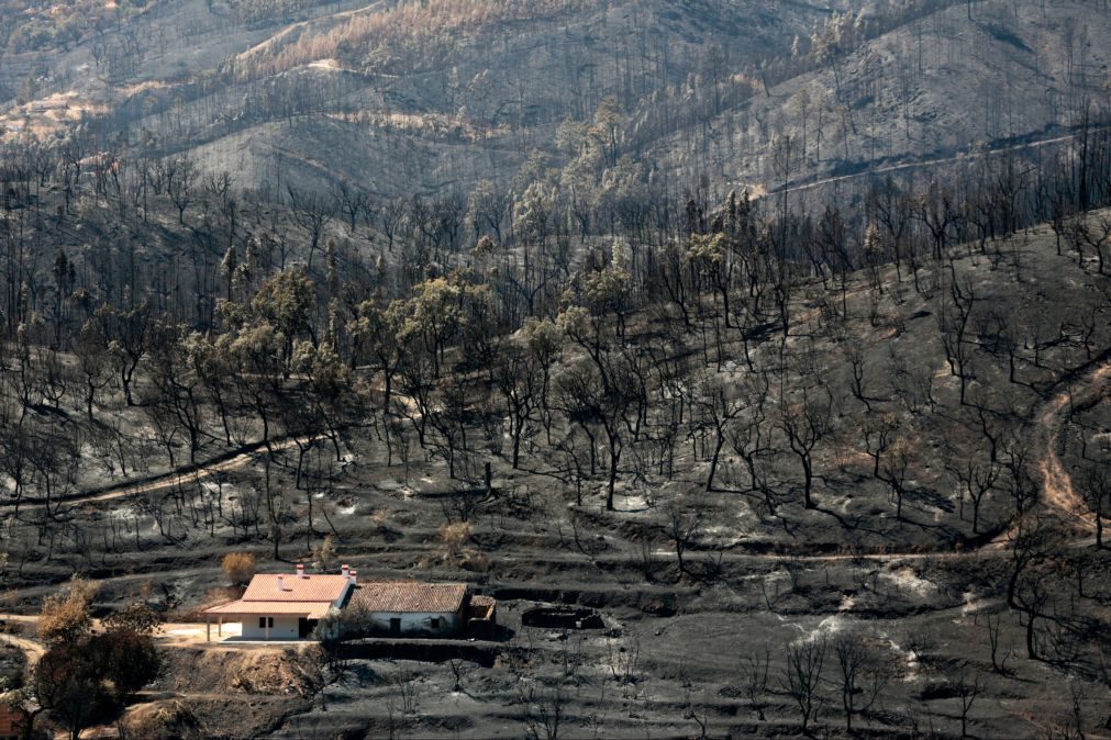 ALERTA INCÊNDIOS: Prejuízos em Monchique rondam os 10 milhões de euros