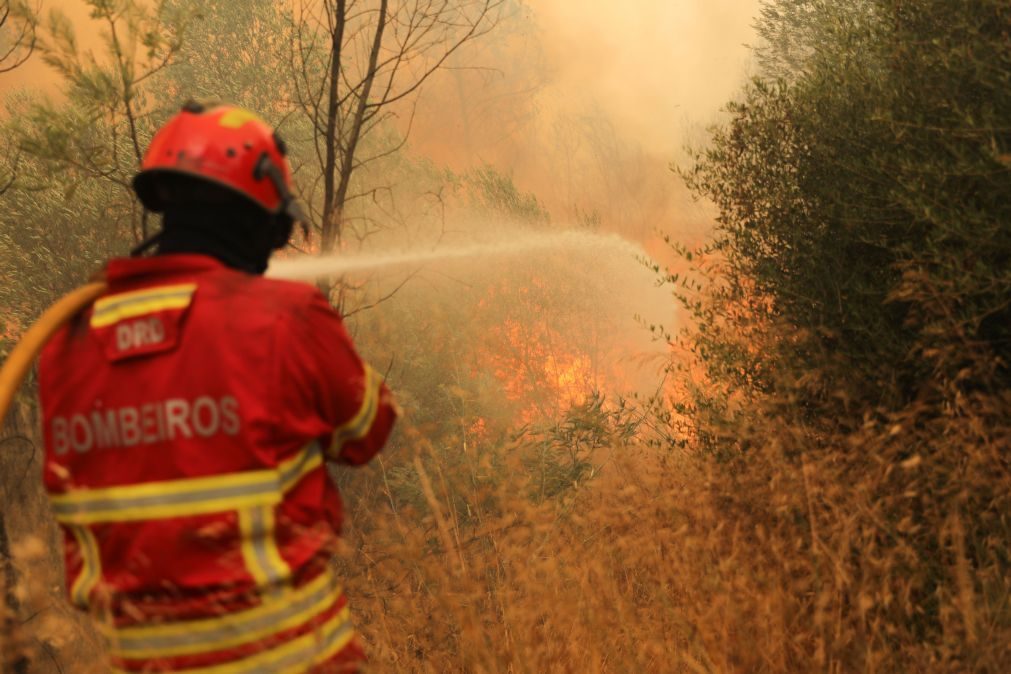 Doze concelhos de seis distritos do continente em risco máximo de incêndio