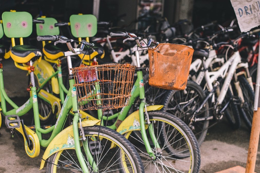 Morrem 4 crianças em colisão entre comboio e bicicleta com atrelado na Holanda