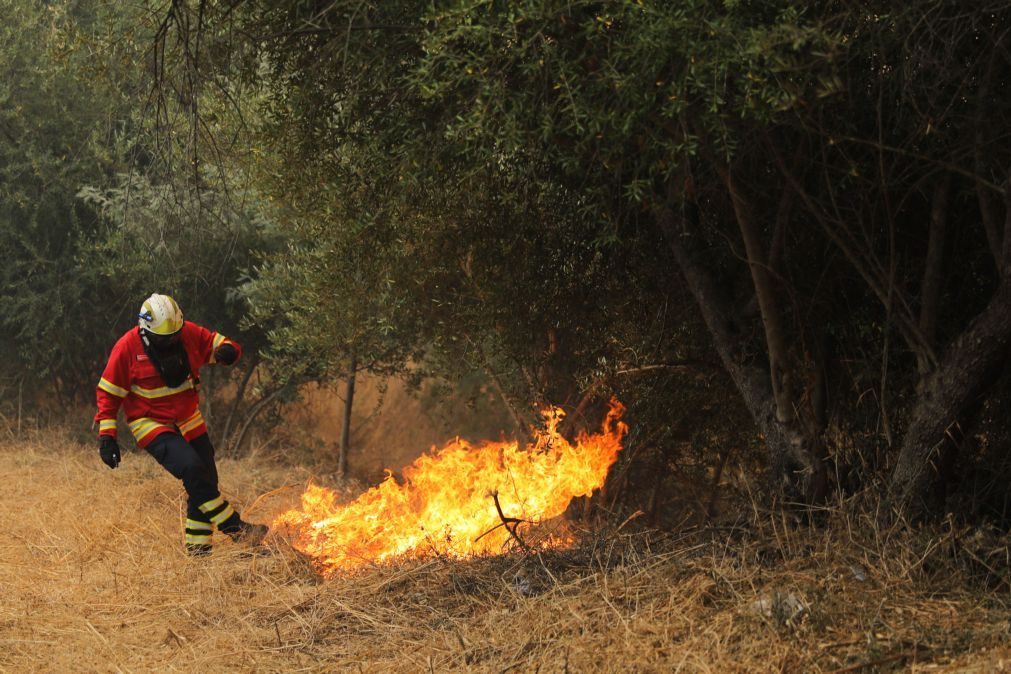 ALERTA | Risco de incêndio «muito elevado e máximo»