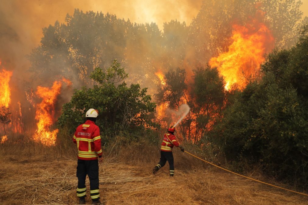 Fogo com duas frentes consome pinhal e mato em Aljezur