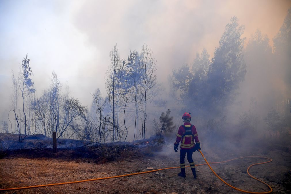 Proteção Civil alerta para aumento do perigo de incêndio até final da próxima semana