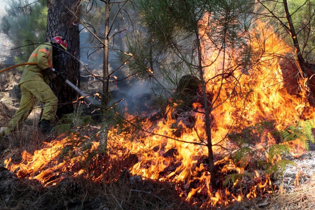 Incêndios: 18 feridos no incêndio em Sintra [atualização]