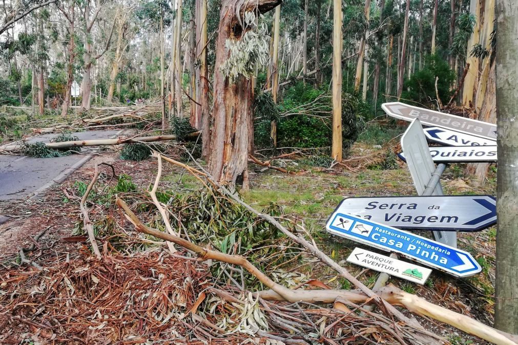 Tempestade Leslie causou 38 M€ de prejuízos na Figueira da Foz