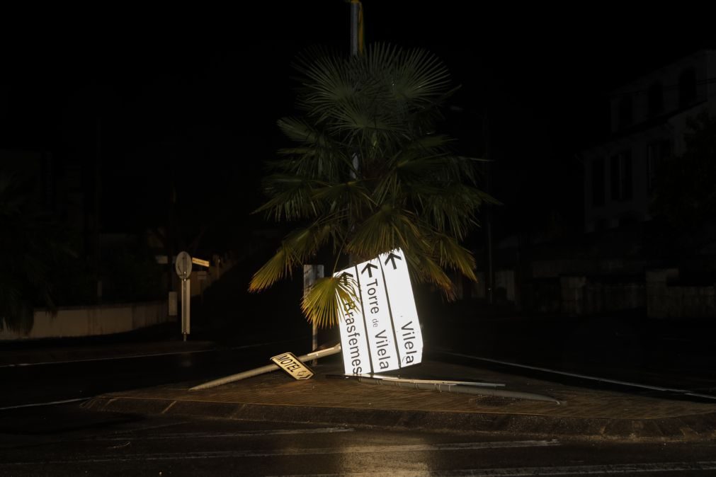 Tempestade Leslie provocou prejuízos de mais de nove milhões de euros em Coimbra