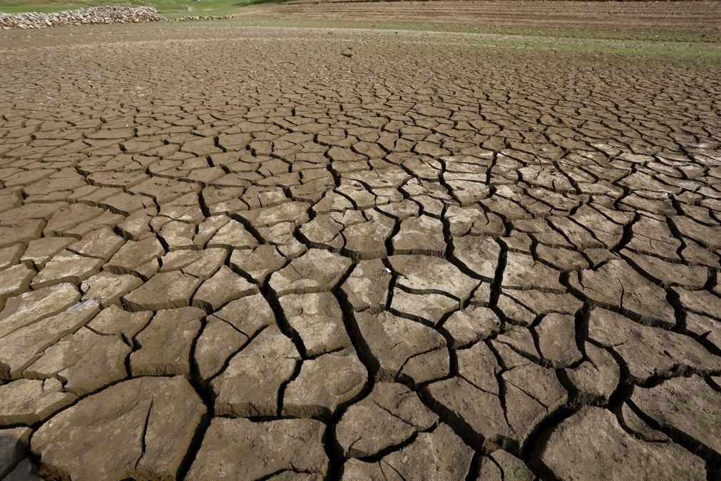 Dezembro de 2018 foi quente e situação de seca regressa