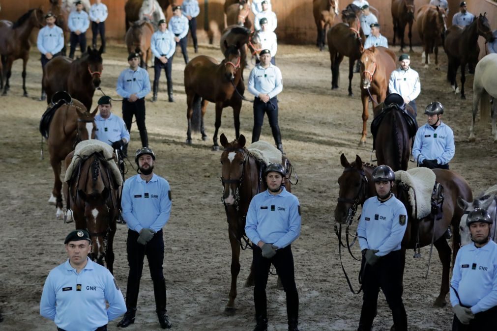 Cavalo da GNR fugiu de militar e atravessou o centro do Porto sozinho