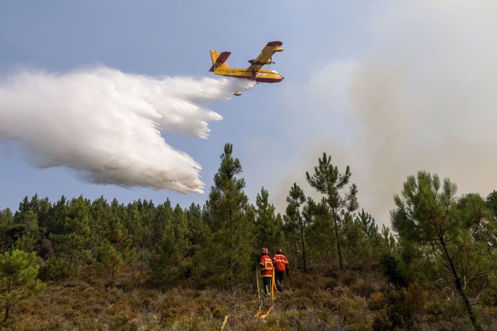 Maioria do fogo de Vila de Rei dominado mas tarde de calor vai pôr meios à prova