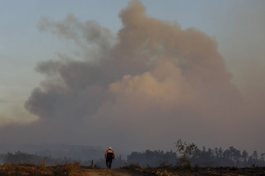 Vinte e um concelhos de seis distritos em risco máximo de incêndio