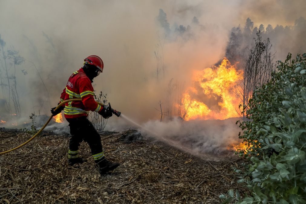 Portugal com 41.017 hectares de área ardida