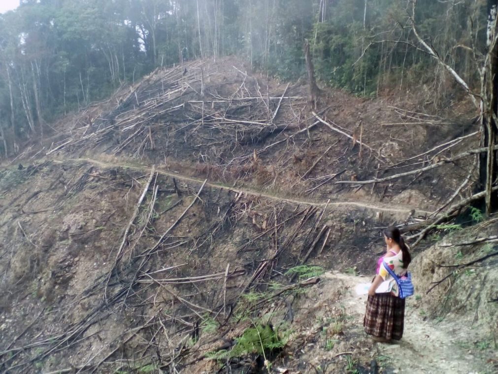 Guatemala declara 'estado de calamidade' devido a incêndios
