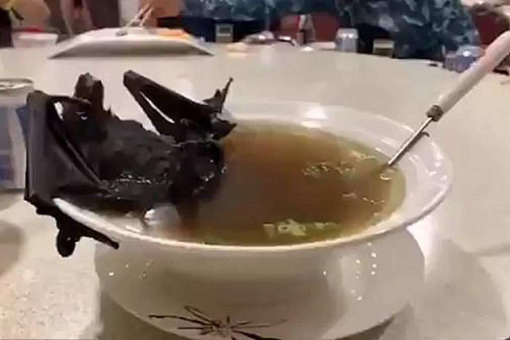 Sopa de morcego pode estar relacionada com o coronavírus