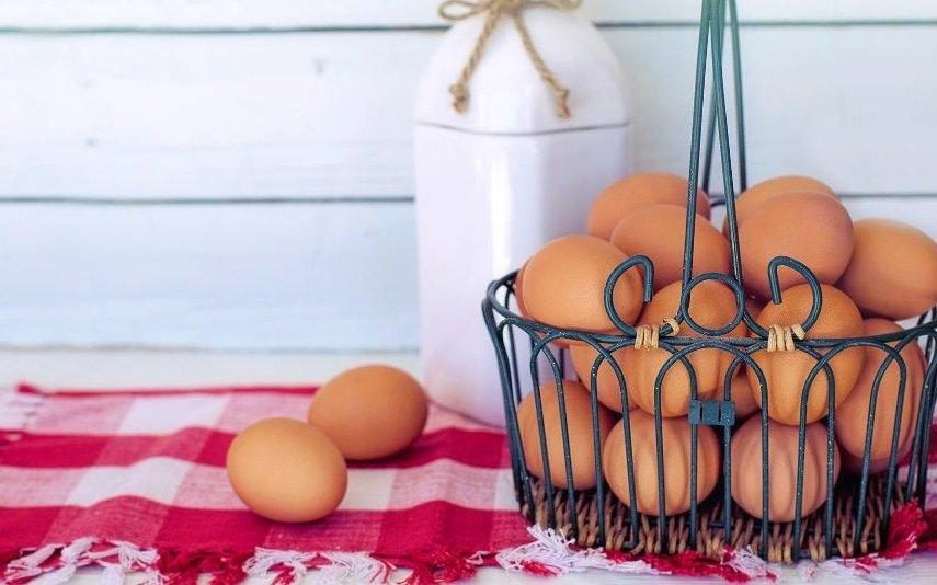 Sabia que é perigoso lavar os ovos antes de os cozinhar?
