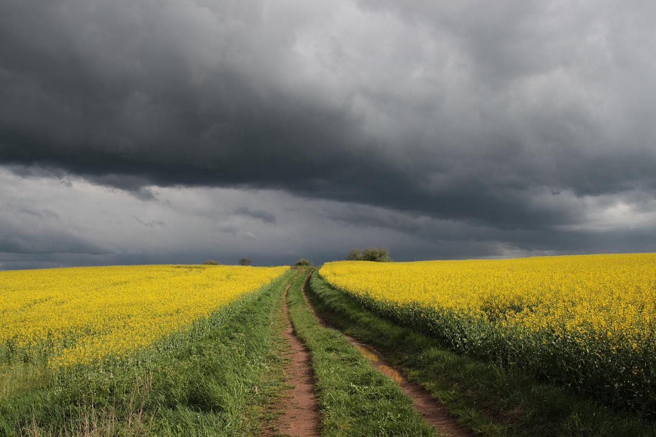 Meteorologia: Previsão do tempo para terça-feira, 2 de junho