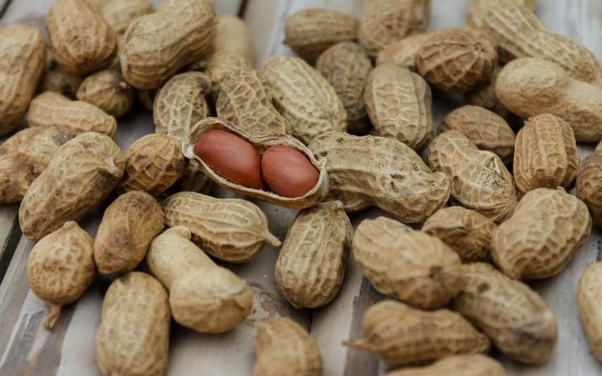 Dieta Descubra se o amendoim ajuda a emagrecer