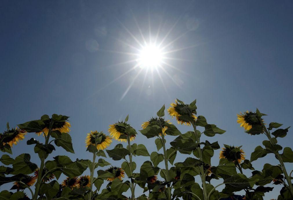 DGS alerta para perigos da subida de temperaturas