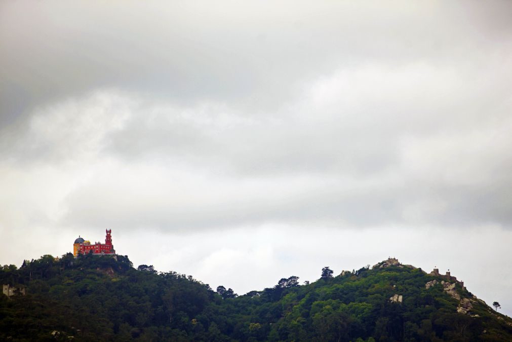 Incêndios: Trânsito interditado na serra de Sintra entre quarta-feira e sábado