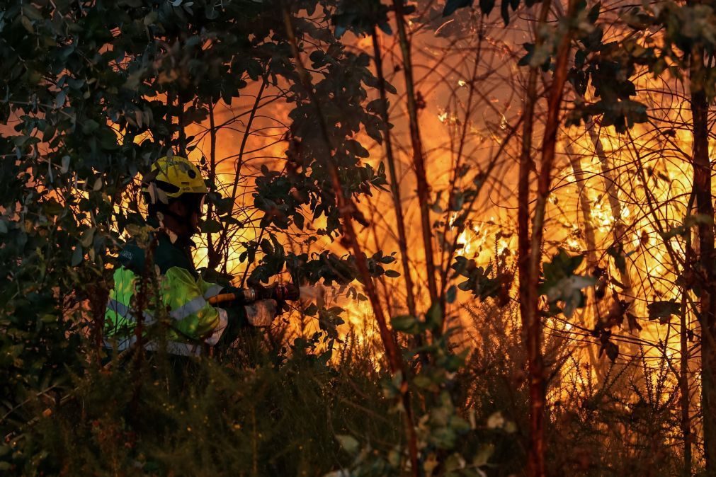 Incêndios: Governo declara situação de alerta durante dois dias