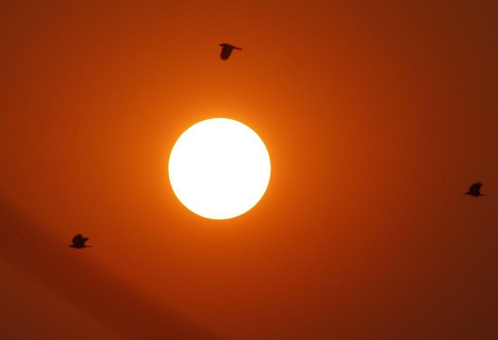 Investigadores juntam luz do sol, dióxido de carbono e água e fazem combustível