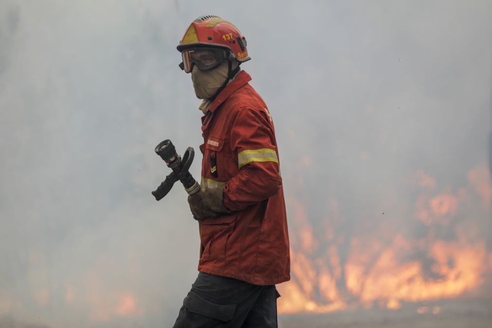 Incêndios: Mais de 40 concelhos de sete distritos em risco máximo