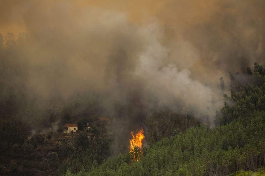 Cerca de 40 concelhos de seis distritos em risco máximo de incêndio