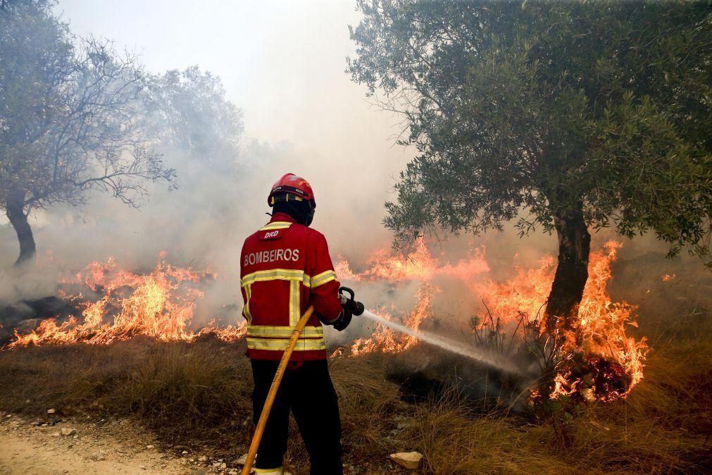 Vinte e três concelhos de quatro distritos em risco máximo de incêndio