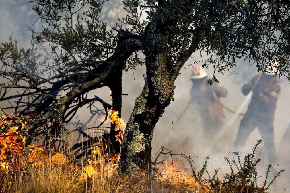 Incêndios: Mais de 70 concelhos de 11 distritos do continente em risco máximo