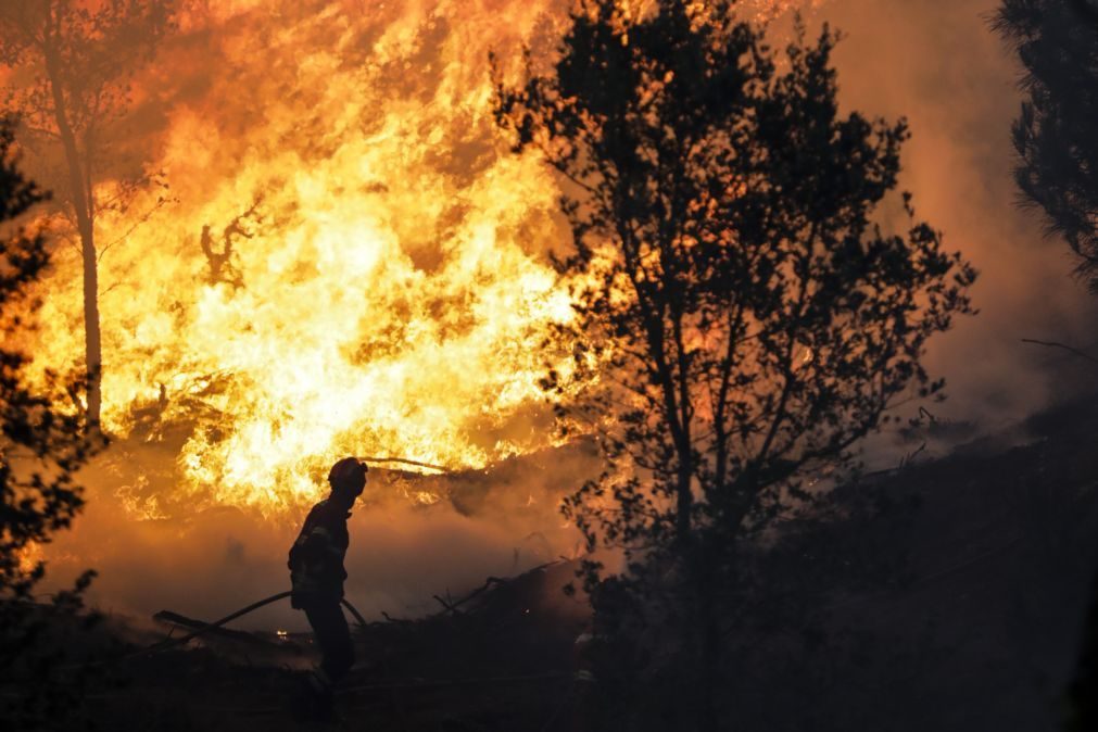 Mais de 100 concelhos de 13 distritos em risco máximo de incêndio