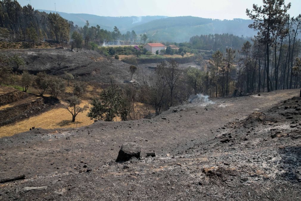 Este ano já foram detidos cerca de 100 incendiários