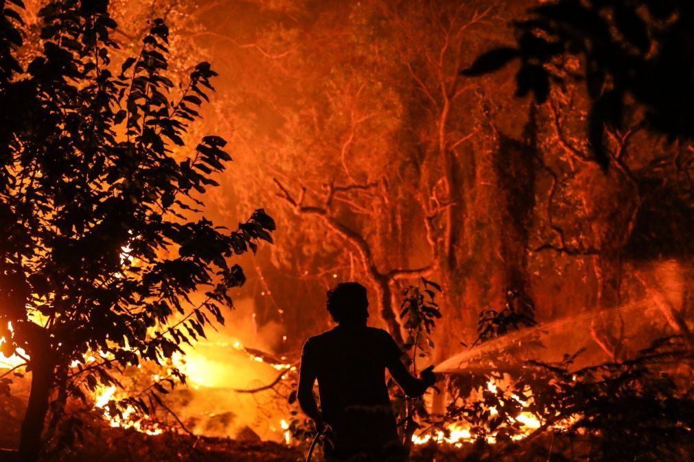 Vinte e oito concelhos de oito distritos em risco máximo de incêndio