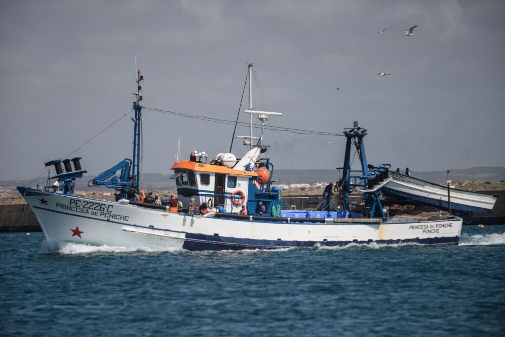 Pesca da sardinha proibida a partir de sábado